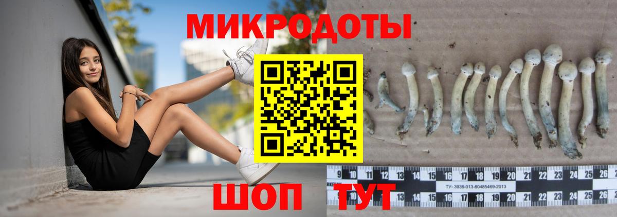 купить наркотики сайты  Псилоцибиновые грибы мухоморы  Вход с VPN  Псилоцибиновые грибы Psilocybine cubensis  Родники 